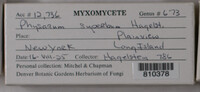 Image Associated With the Occurence